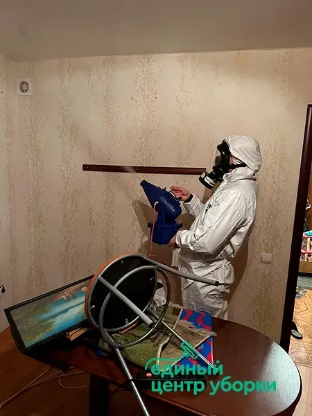 Фоггером и холодным туманом убиваем тараканов