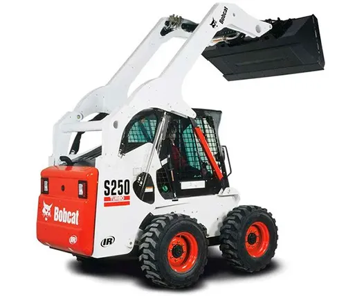 Bobcat
