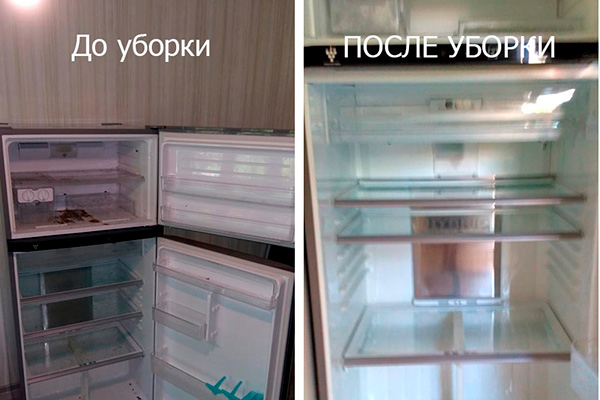 Пример генуборка холодильника паром